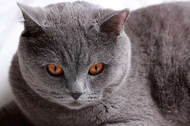 Similar image 11131654