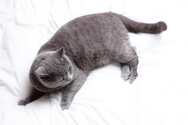 Similar image 11131655