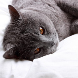 Similar image 11131657