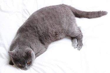 Similar image 11132341