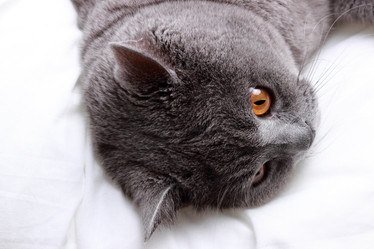 Similar image 11132344