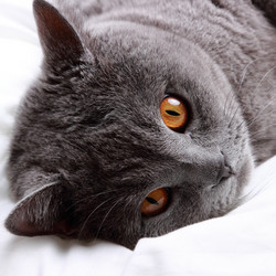 Similar image 11132349