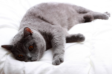 Similar image 11132636