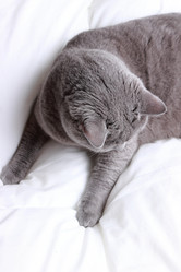 Similar image 11132638