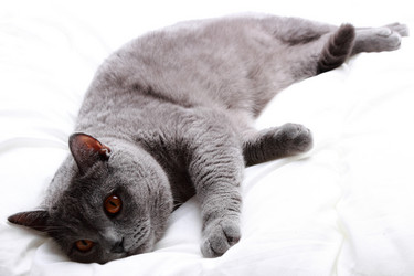 Similar image 11134375