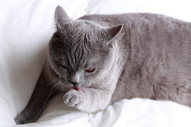 Similar image 11134376