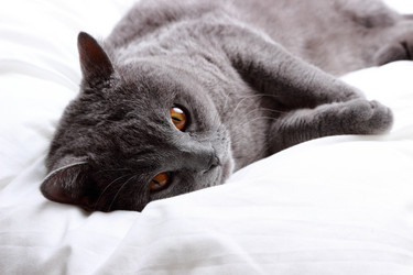 Similar image 11134377