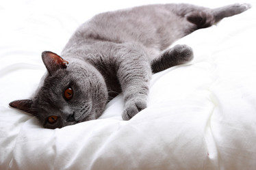 Similar image 11134391