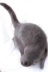 Similar image 11134392