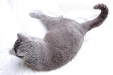 Similar image 11134393