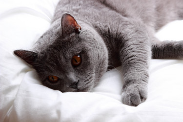 Similar image 11134395