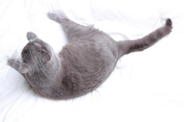 Similar image 11134405