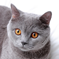 Similar image 11134406