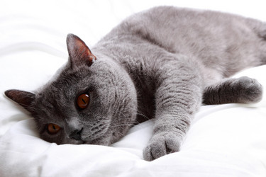 Similar image 11134407