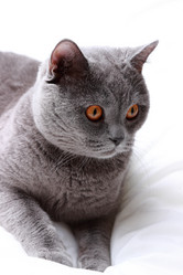 Similar image 11134408