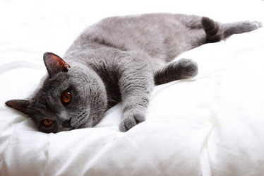 Similar image 11123687