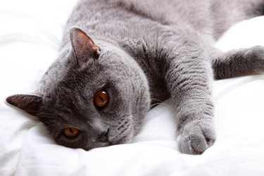 Similar image 11123775