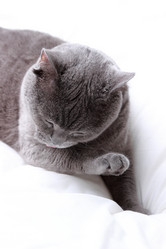 Similar image 11123777