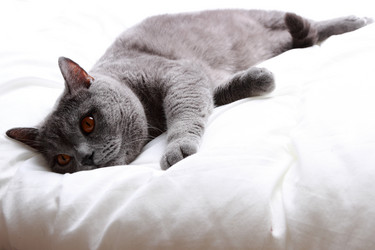 Similar image 11123779