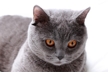 Similar image 11123990