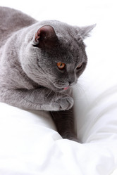 Similar image 11123993