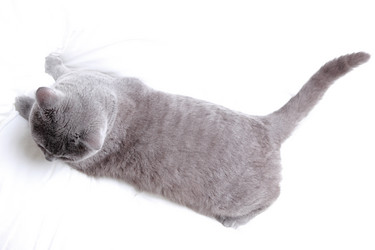 Similar image 11123995