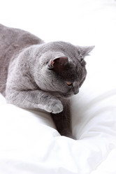 Similar image 11123997