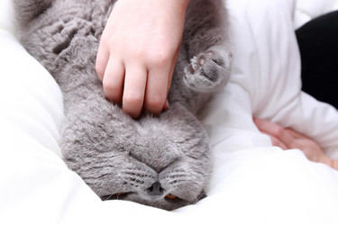 Similar image 11124264