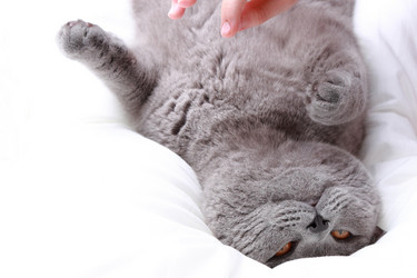 Similar image 11124270