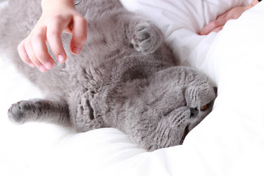 Similar image 11124378