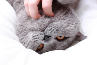 Similar image 11124384