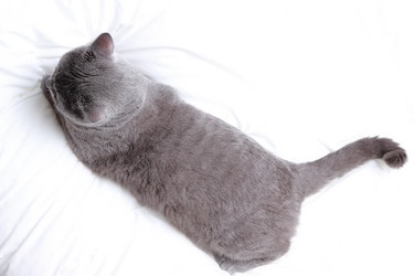 Similar image 11124561