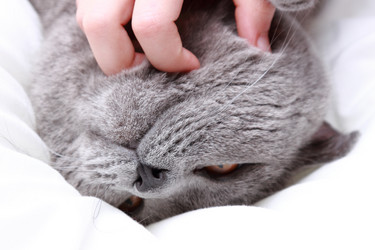 Similar image 11124562