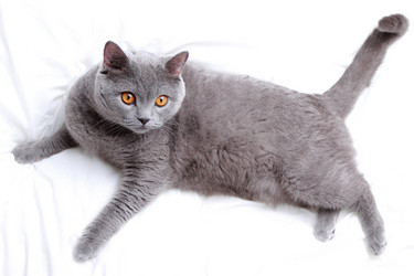 Similar image 11124809