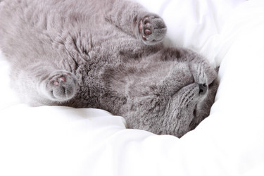 Similar image 11124814