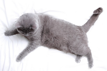 Similar image 11124819