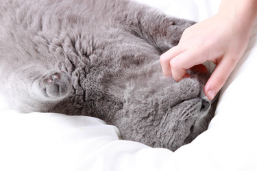 Similar image 11124823