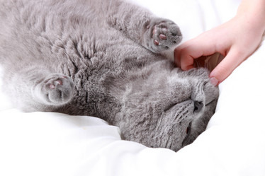 Similar image 11124864