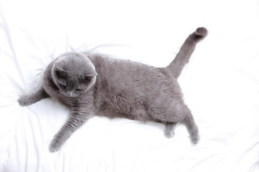 Similar image 11124866