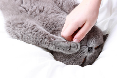 Similar image 11124871