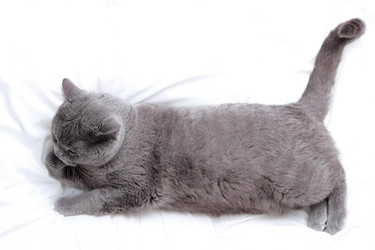 Similar image 11124873