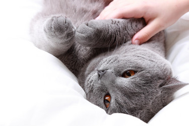 Similar image 11125128