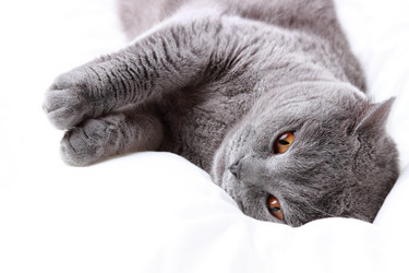 Similar image 11125131