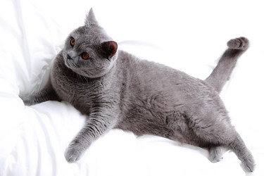 Similar image 11125133