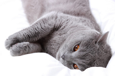 Similar image 11126635