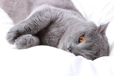 Similar image 11126857