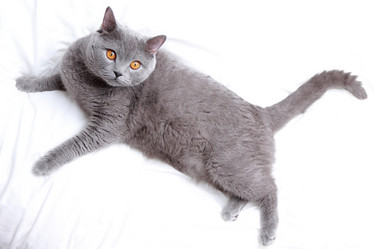 Similar image 11126860