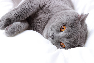 Similar image 11127094