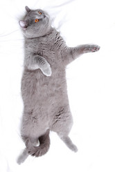 Similar image 11127096