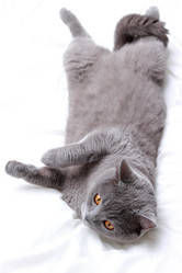 Similar image 11127098